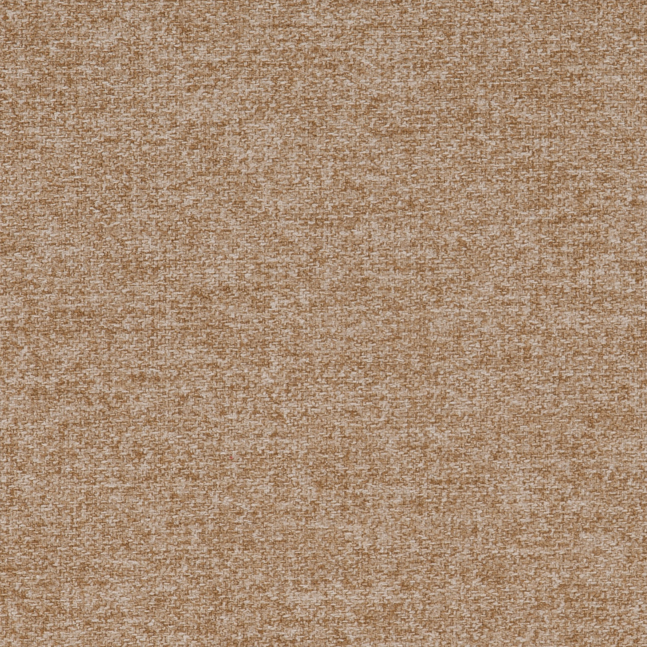 Tones Latte