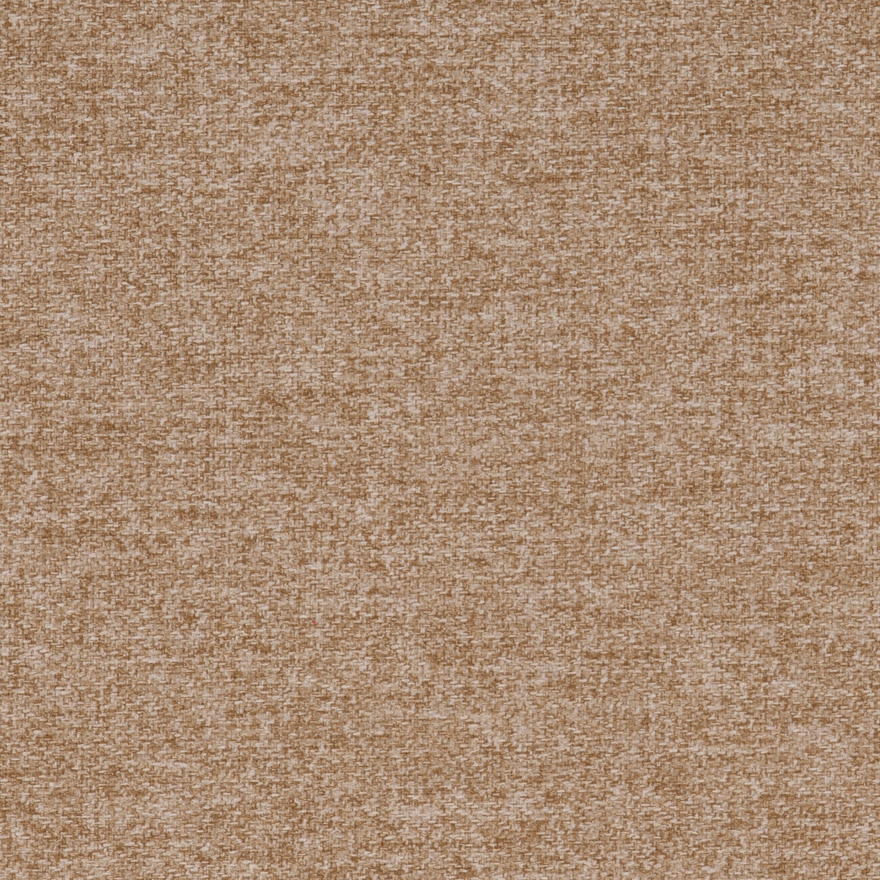 Tones Latte