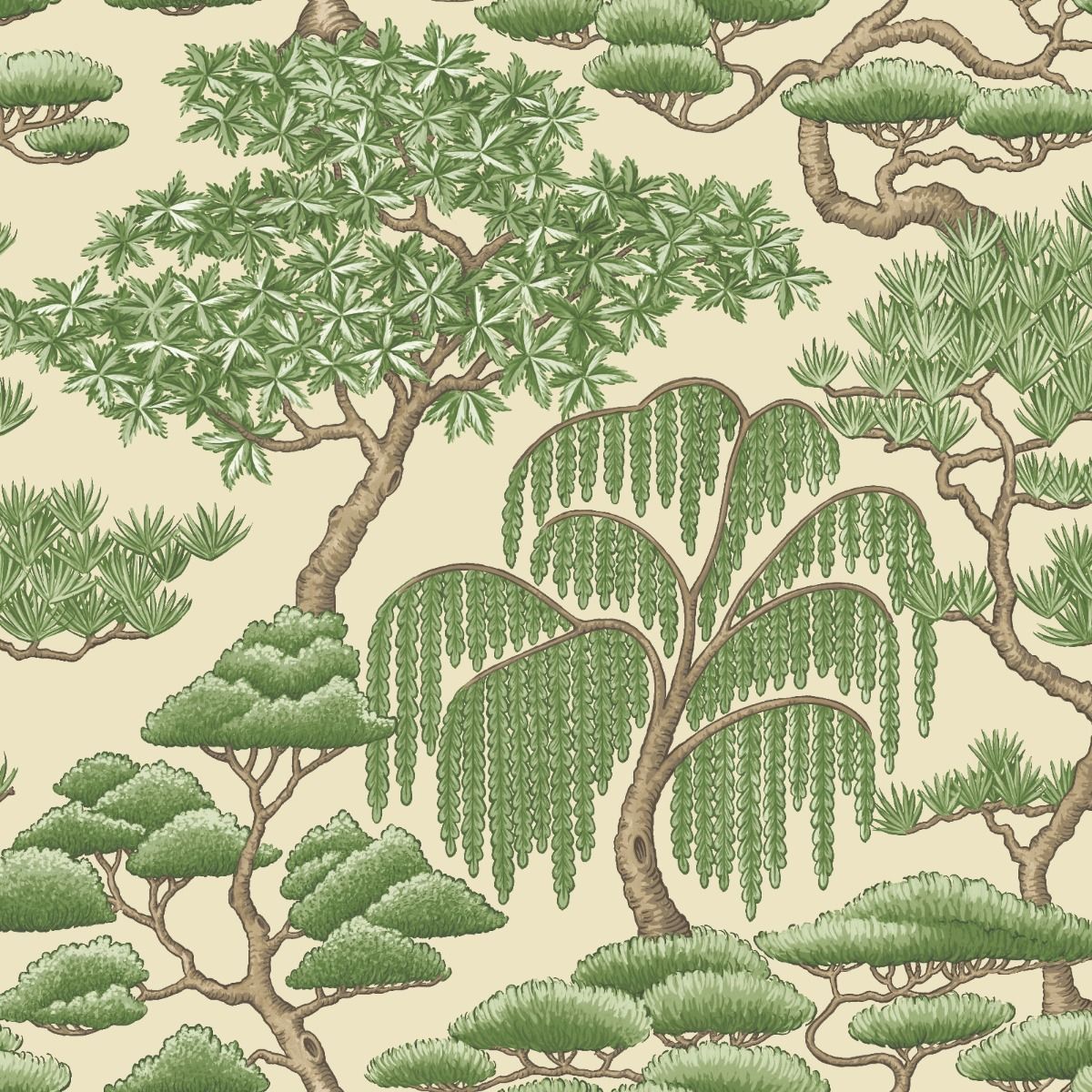 Matsu Forest