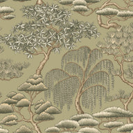 Matsu Olive