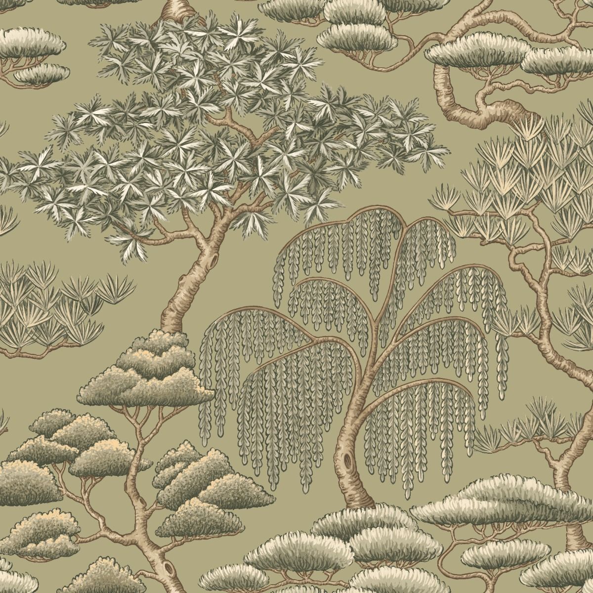 Matsu Olive