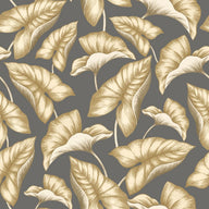 Miyake Ochre