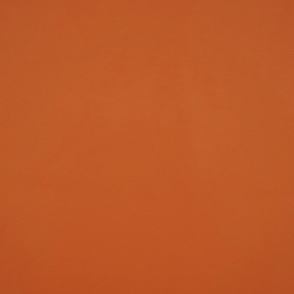 Nova Stretch Pumpkin