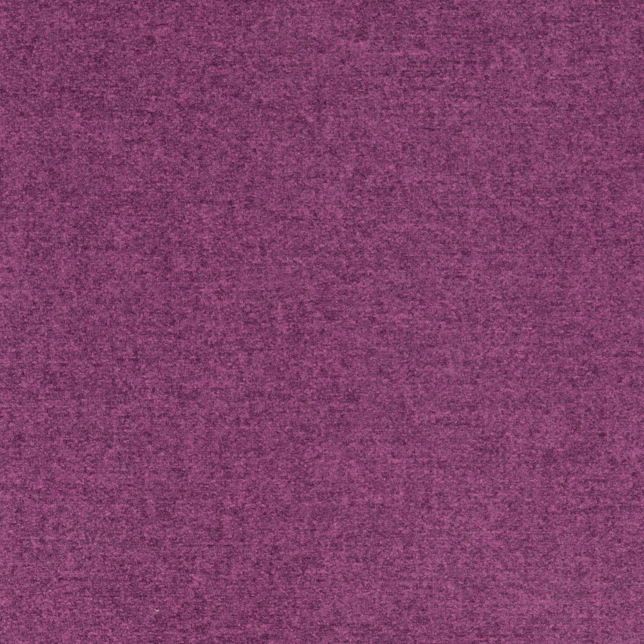 Tones Thistle