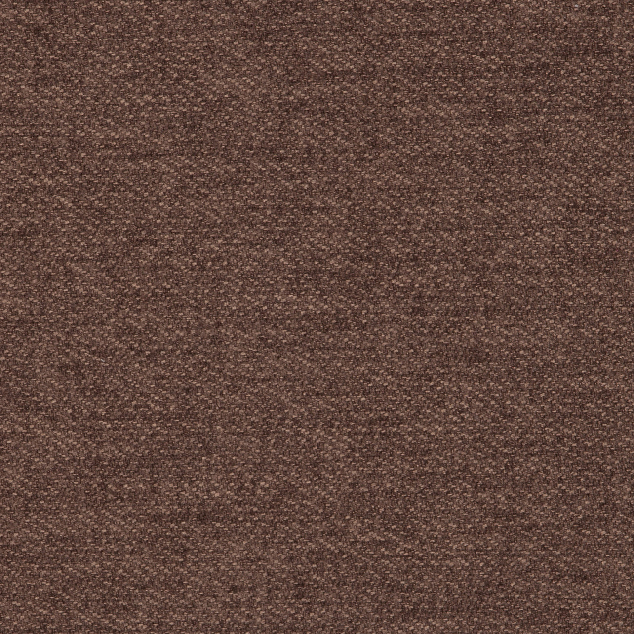 Tones Truffle