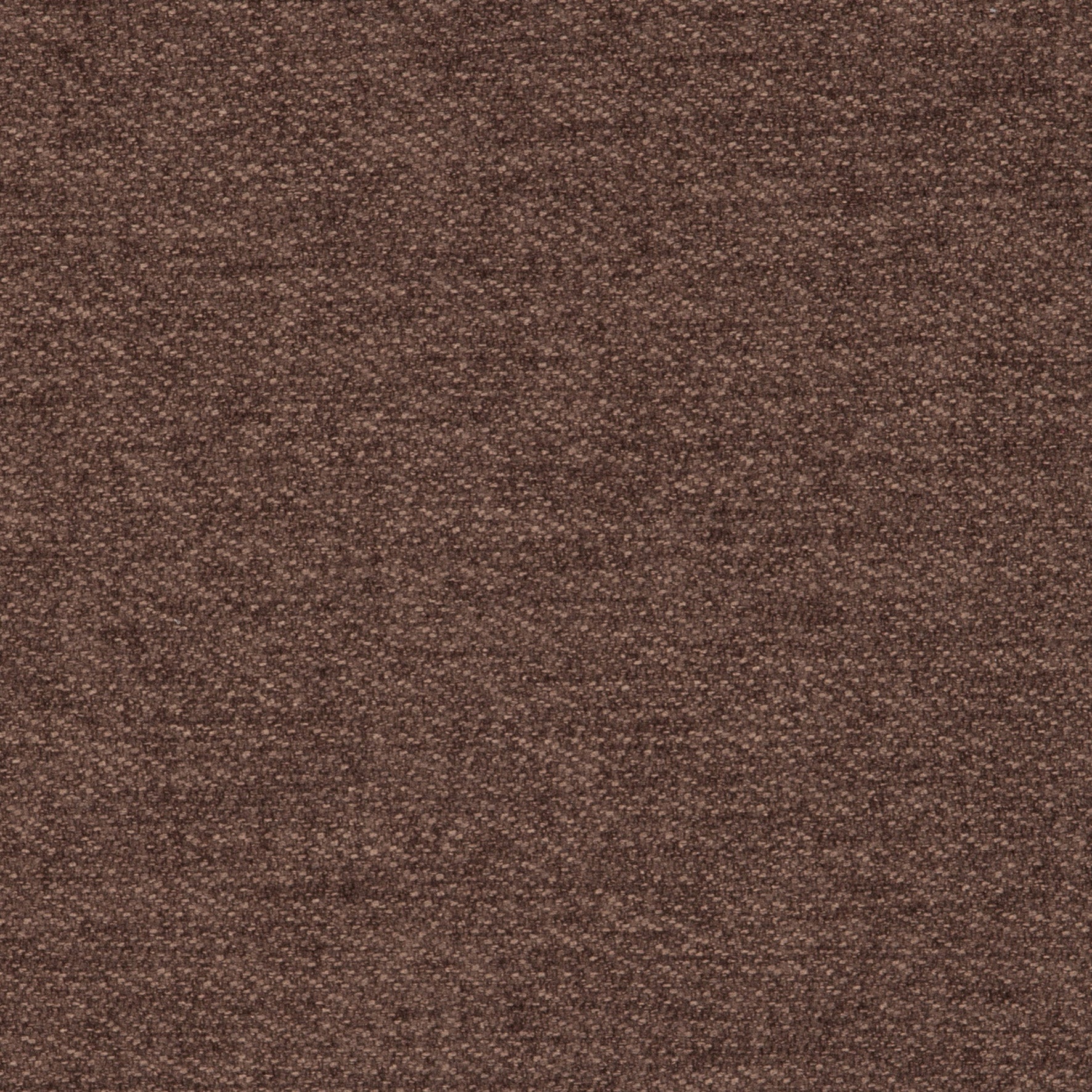Tones Truffle