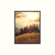 Woodland Scheme Framed Picture