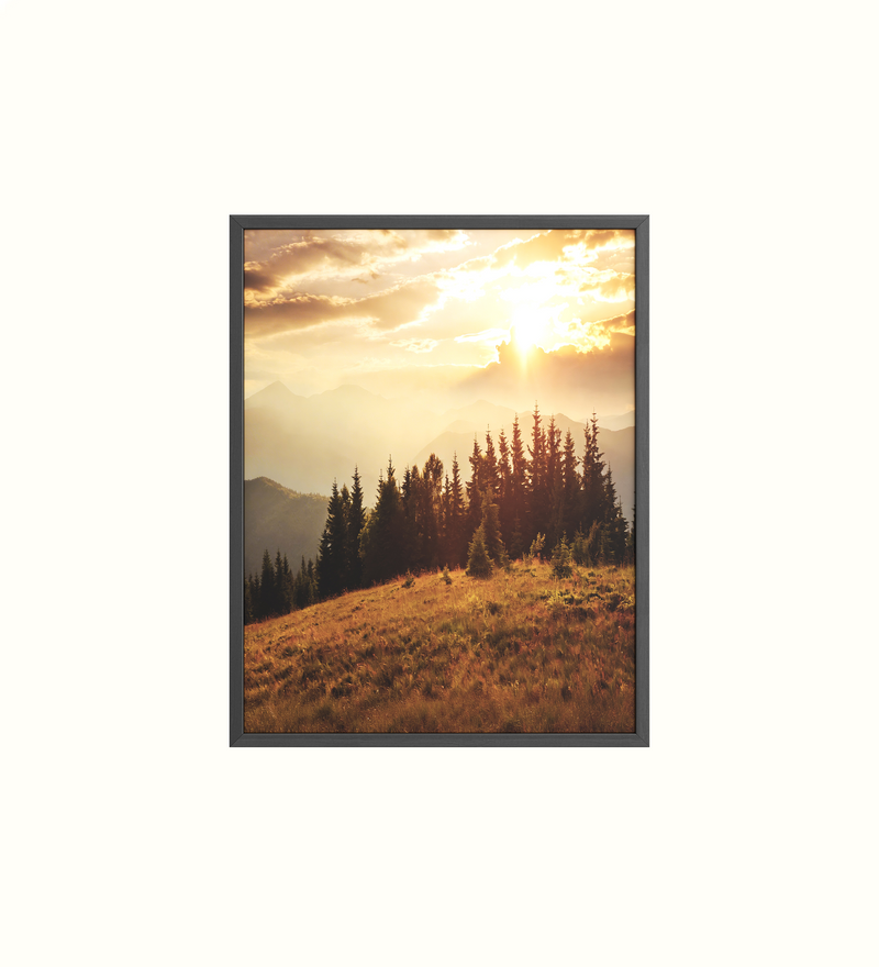 Framed artwork