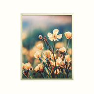 Meadow Scheme Framed Picture