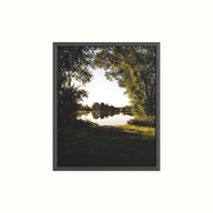 Woodland Scheme Framed Picture