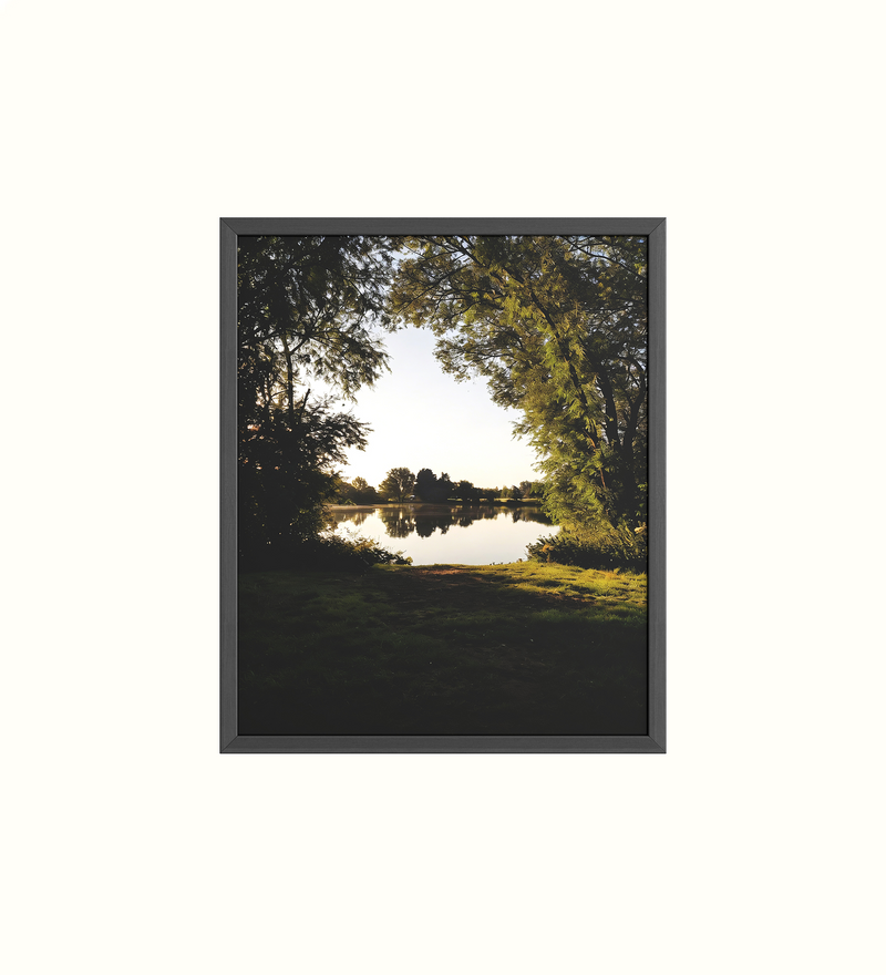 Framed artwork
