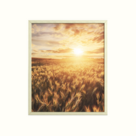 Meadow Scheme Framed Picture
