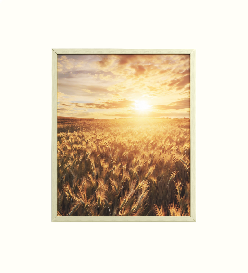 Framed artwork