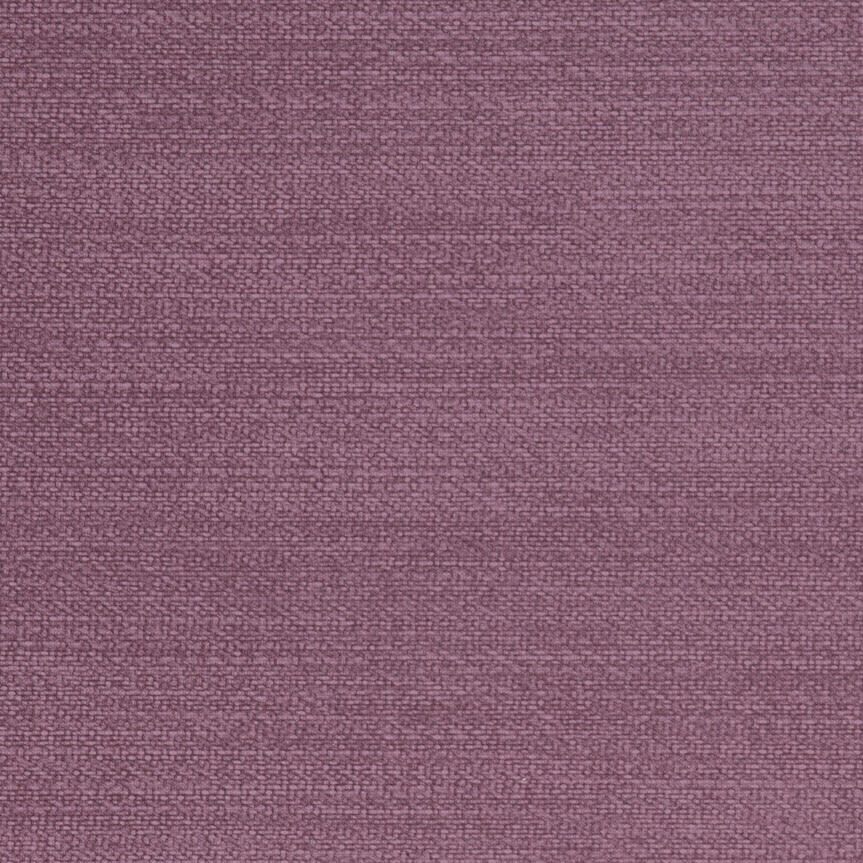 Parody Linen Grape