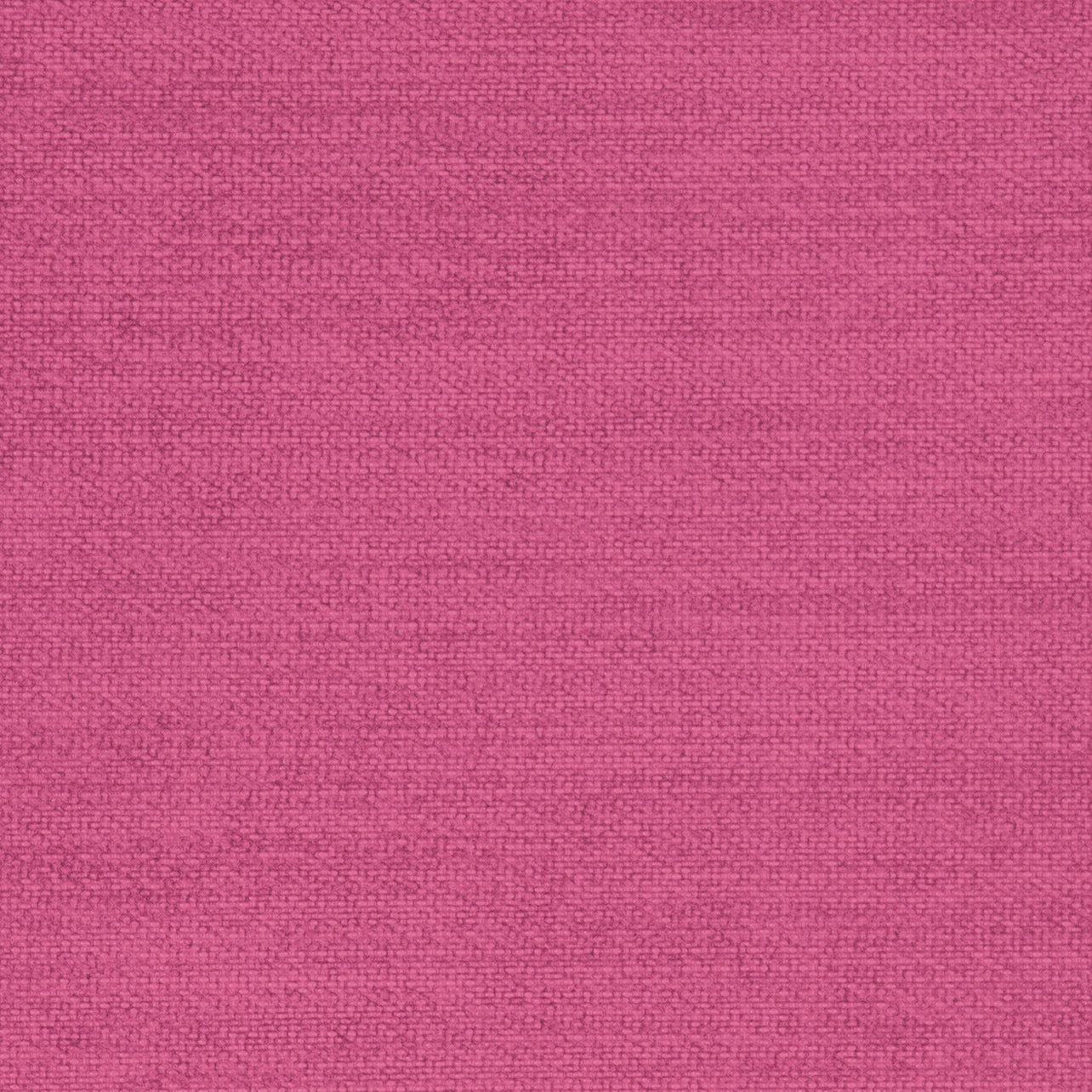 Parody Linen Orchid
