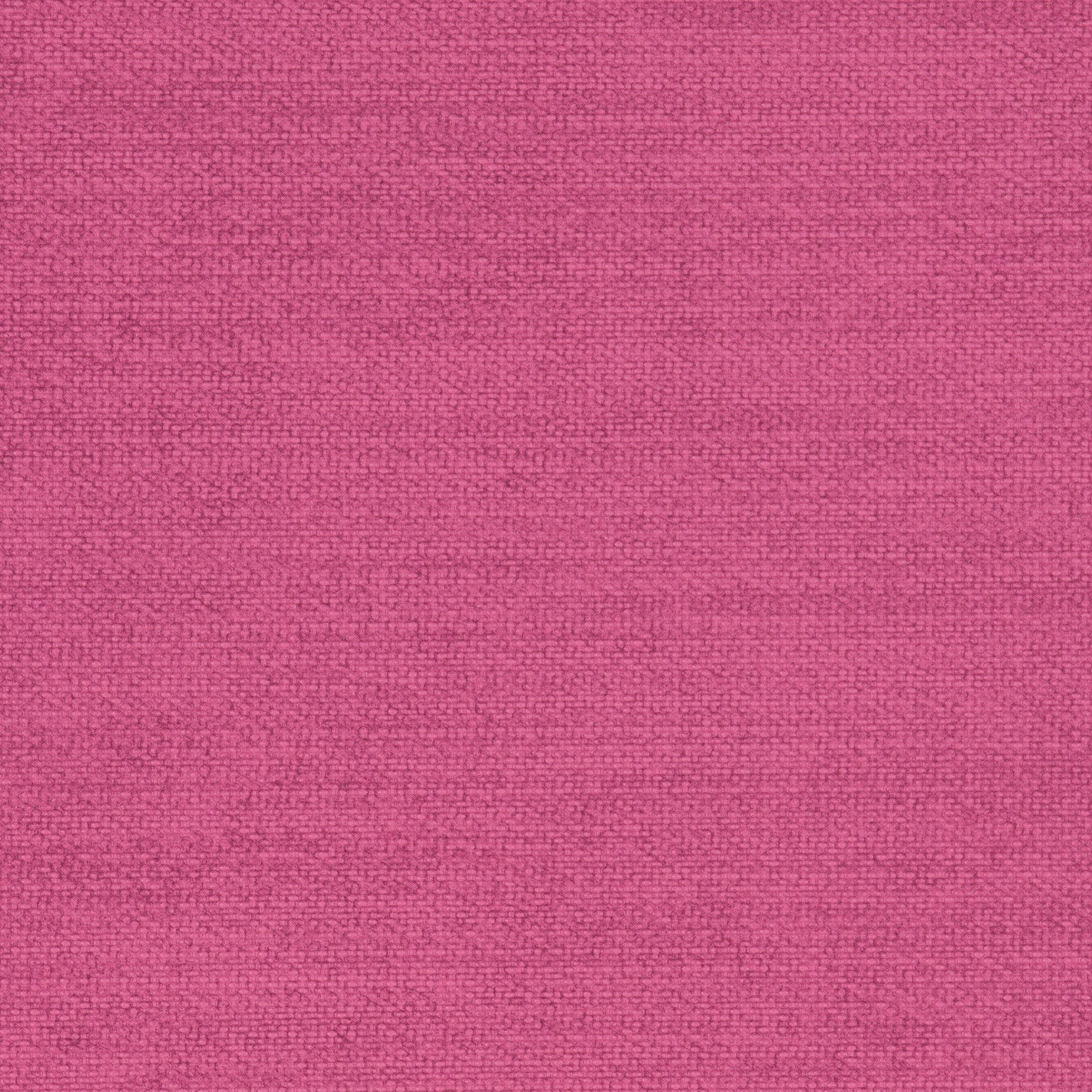Parody Linen Orchid