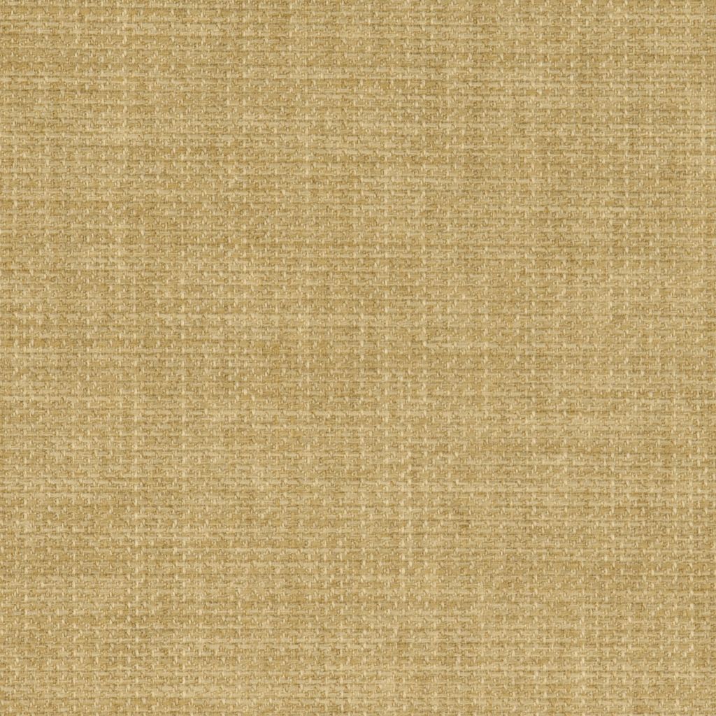 Linetta Olive