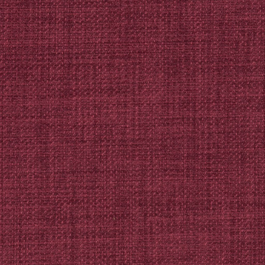 Linetta Plum
