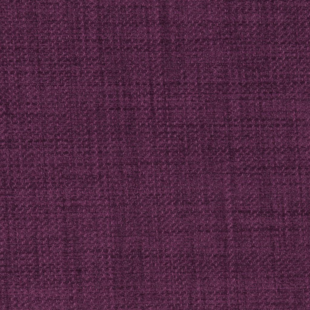 Linetta Purple