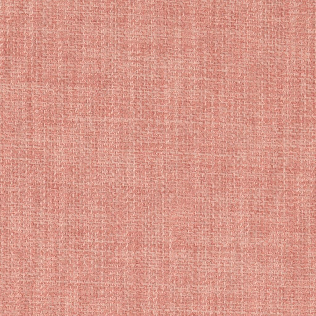 Linetta Salmon