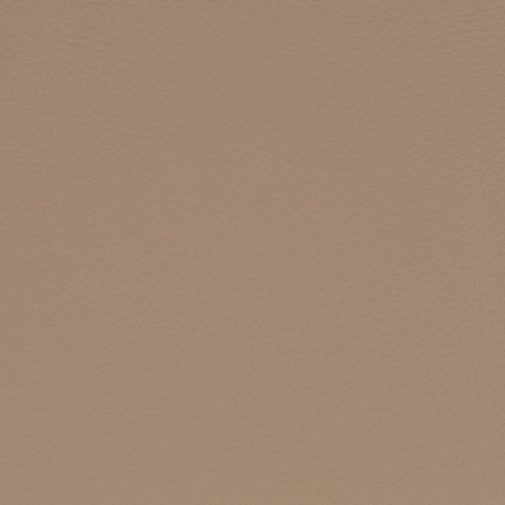 Paint Pot Beige
