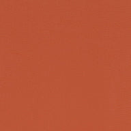 Paint Pot Burnt Orange