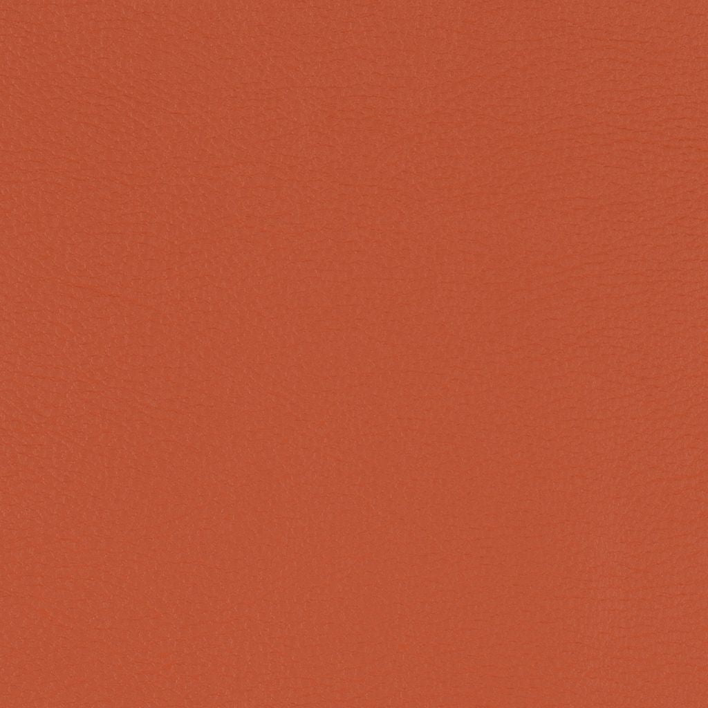 Paint Pot Burnt Orange