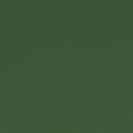 Paint Pot Grass