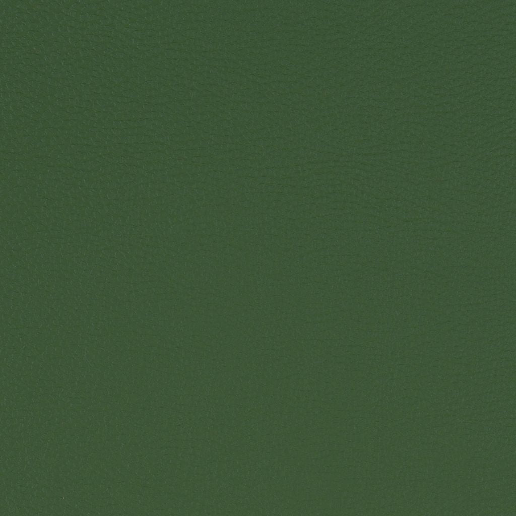 Paint Pot Grass