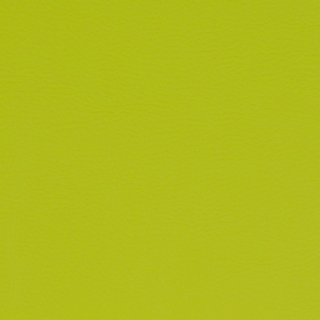 Paint Pot Lime