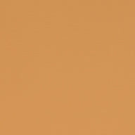 Paint Pot Mustard