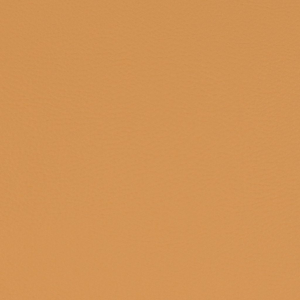Paint Pot Mustard