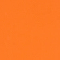 Paint Pot Orange