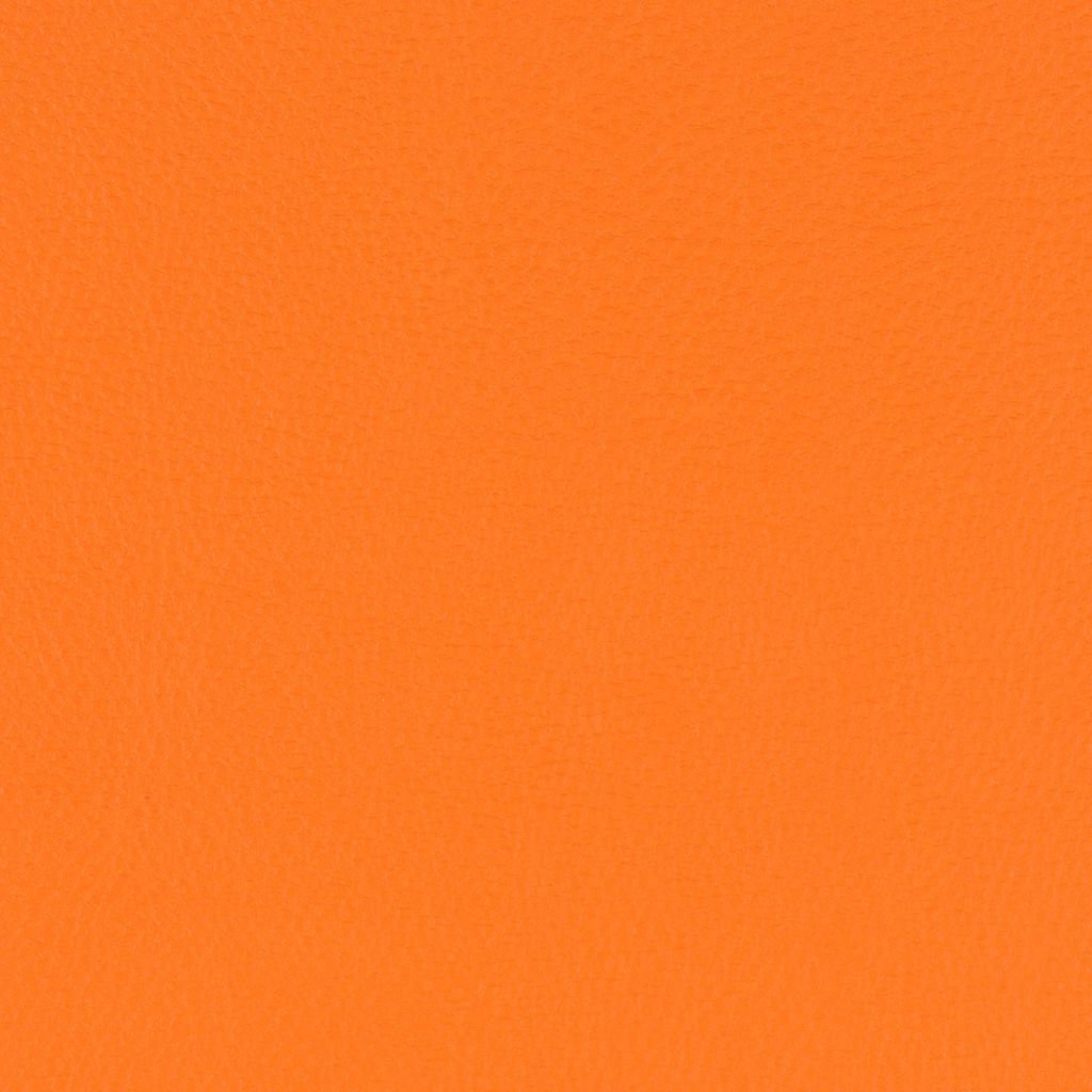 Paint Pot Orange