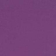 Paint Pot Purple