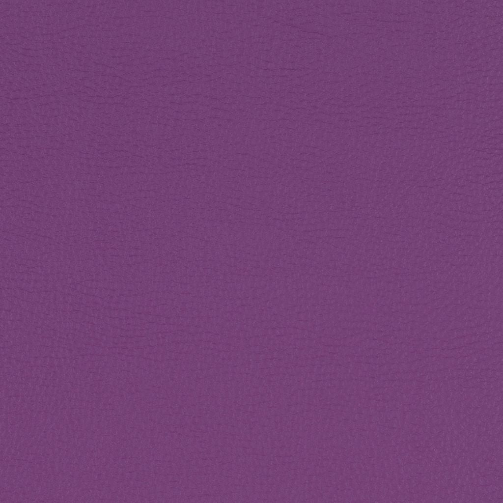 Paint Pot Purple