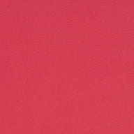 Paint Pot Rose
