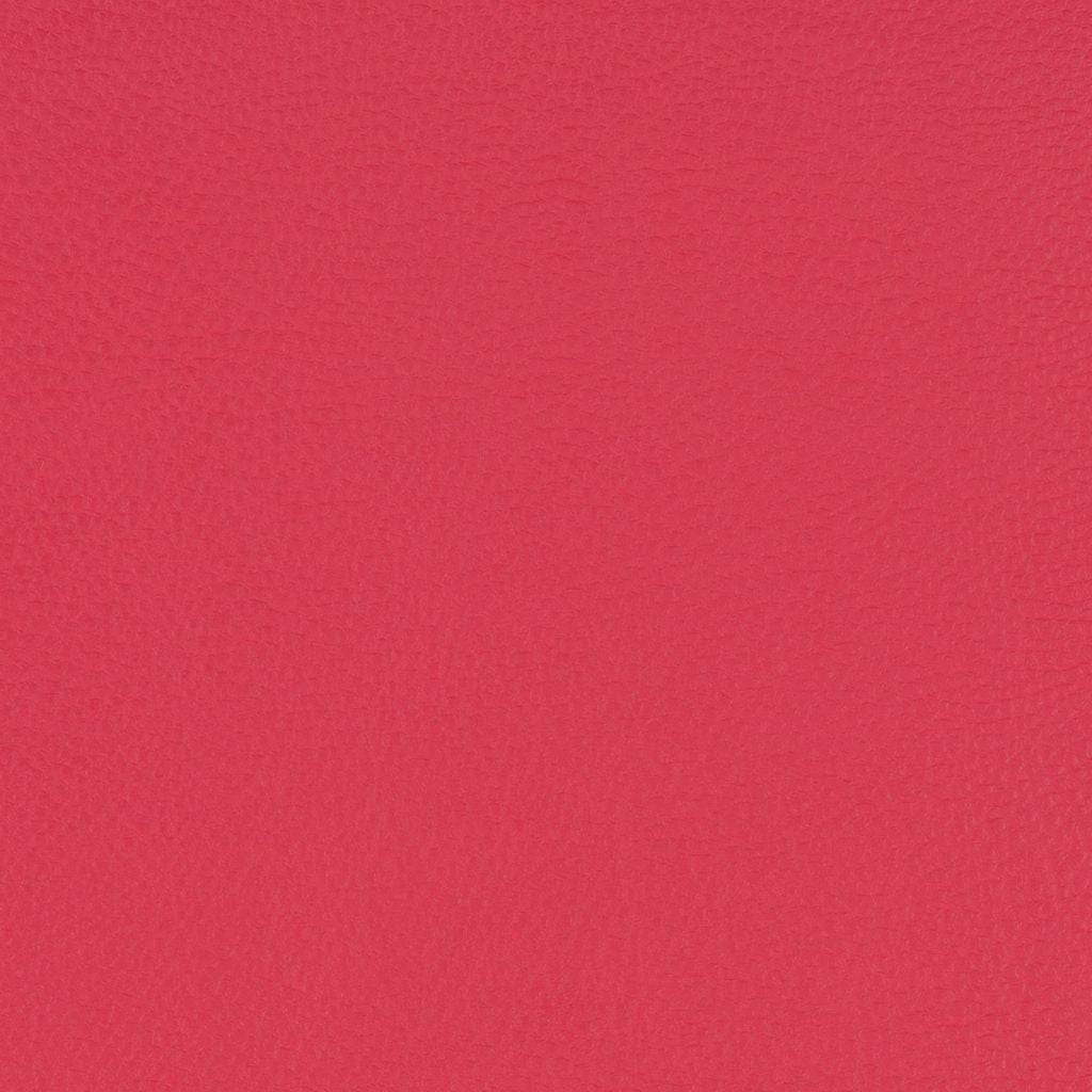 Paint Pot Rose