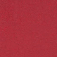 Paint Pot Scarlet