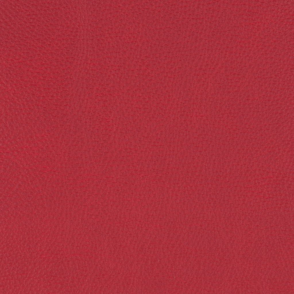 Paint Pot Scarlet