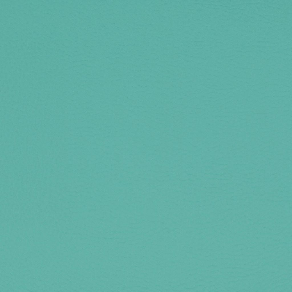 Paint Pot Spearmint