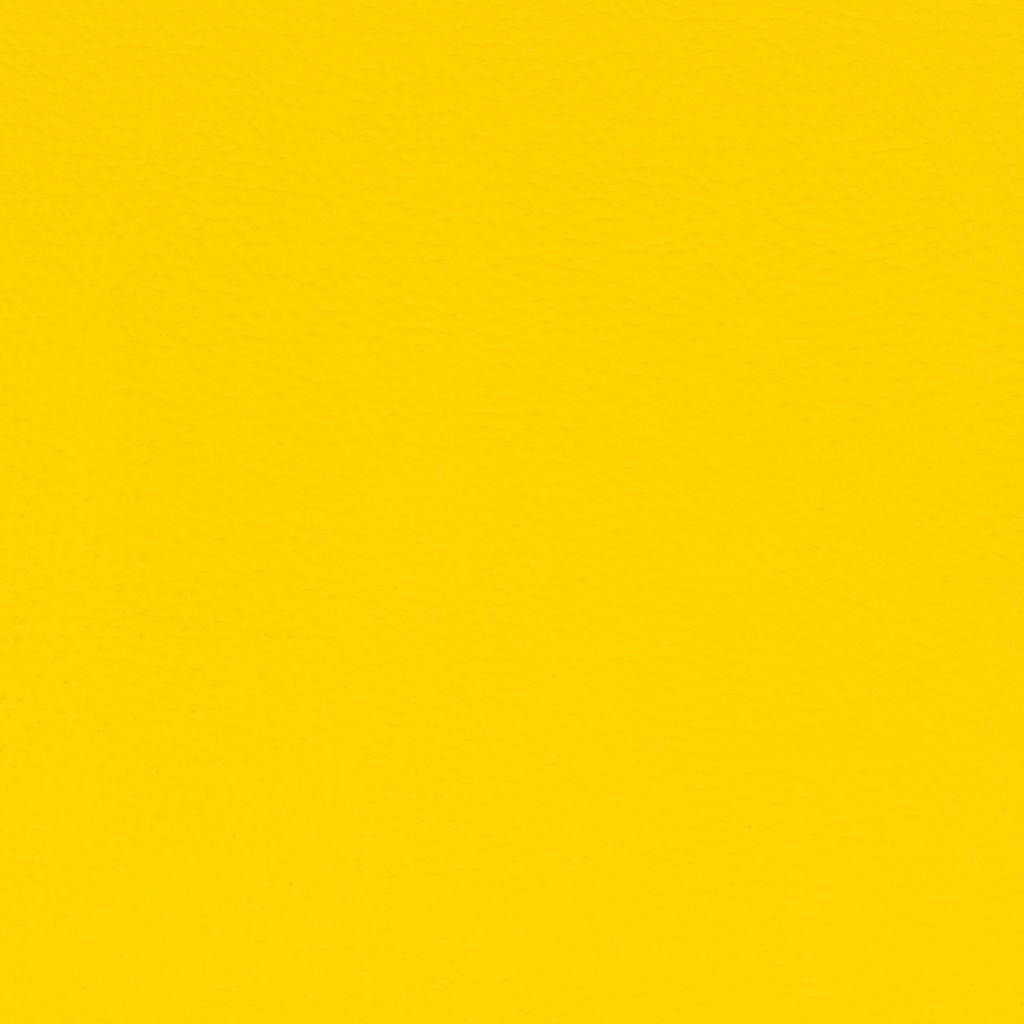 Paint Pot Yellow