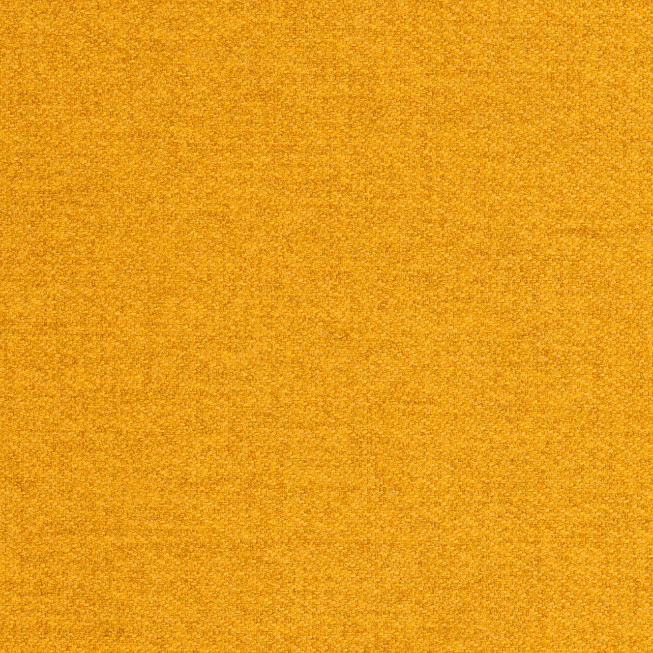 Tones Mustard