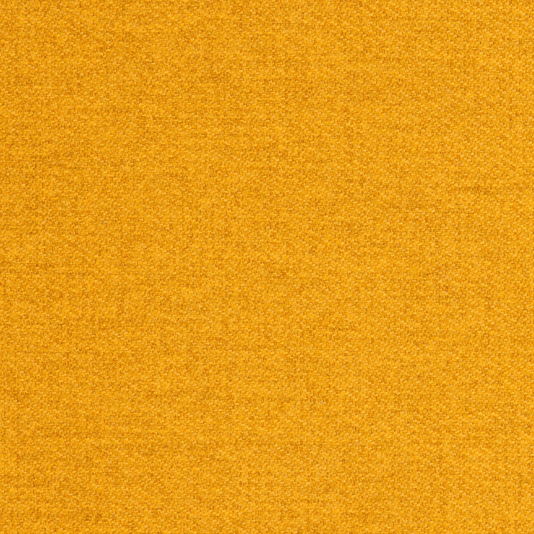 Tones Mustard