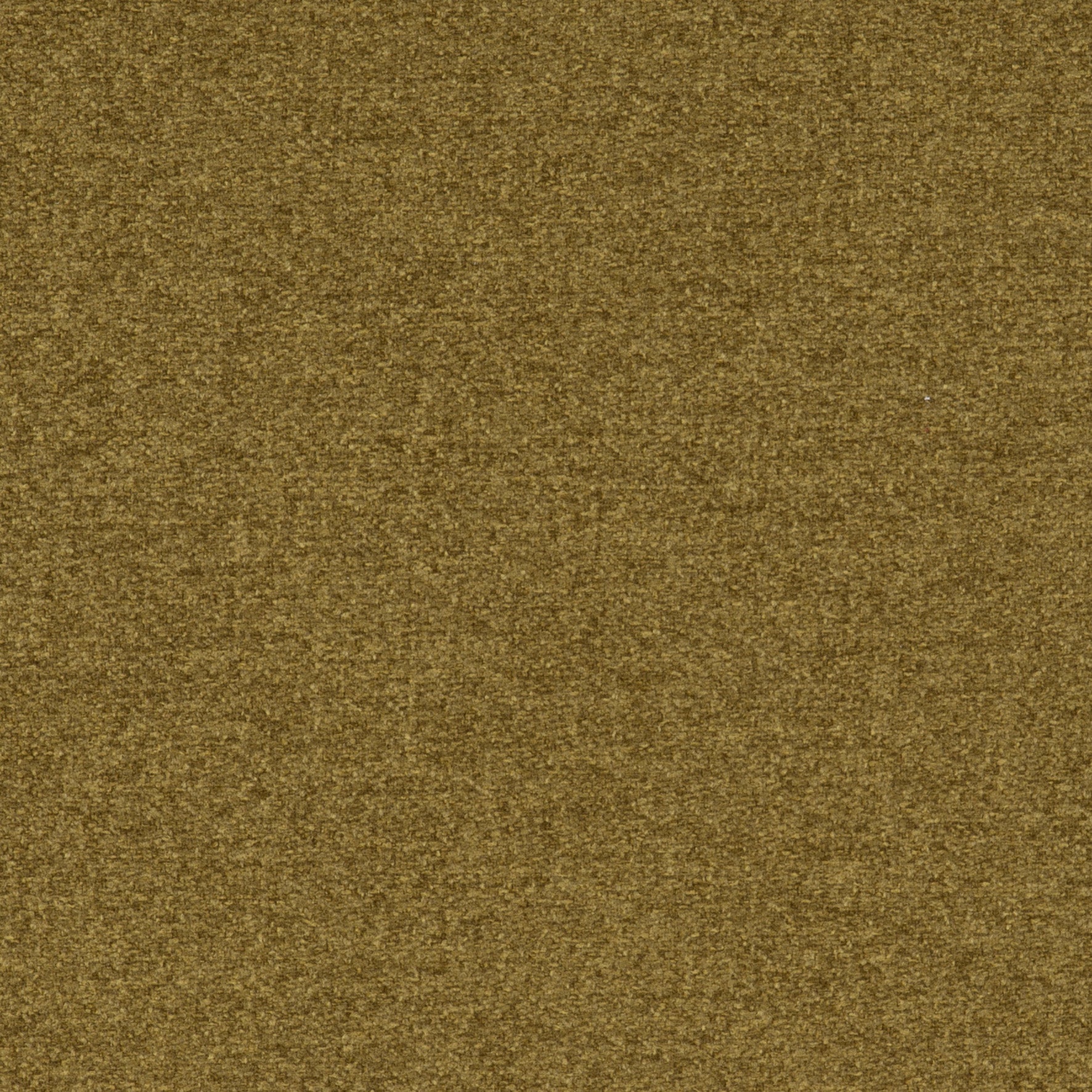 Tones Olive
