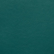 Aston Teal