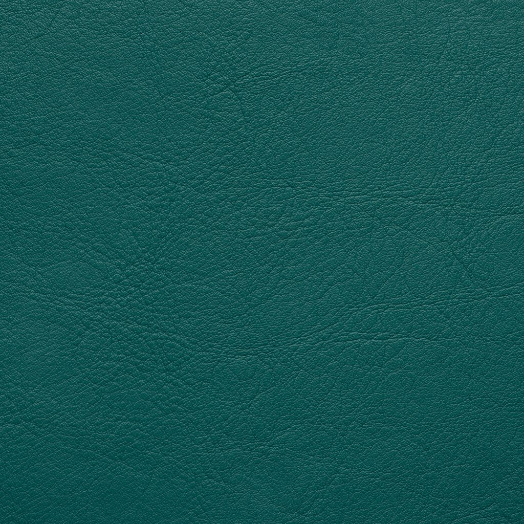Aston Teal