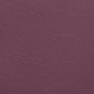 Aston Aubergine