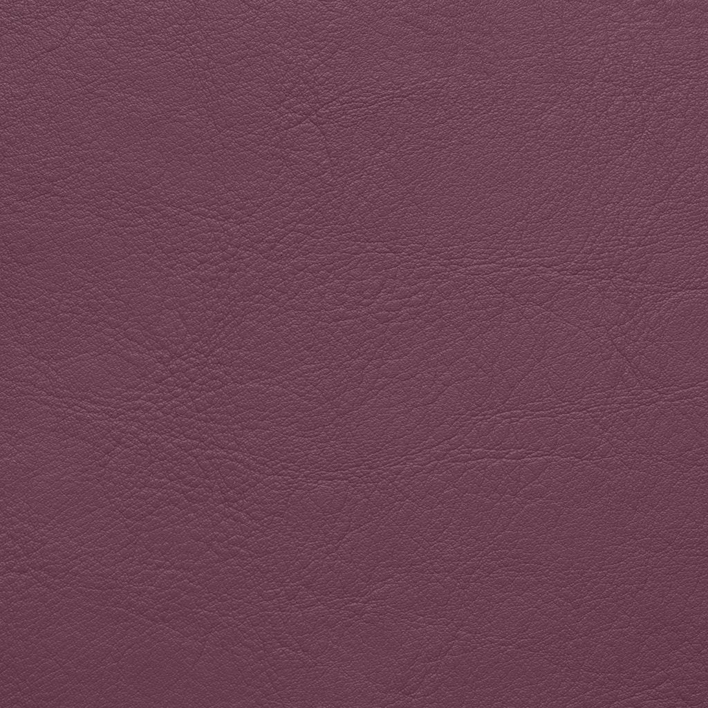 Aston Aubergine