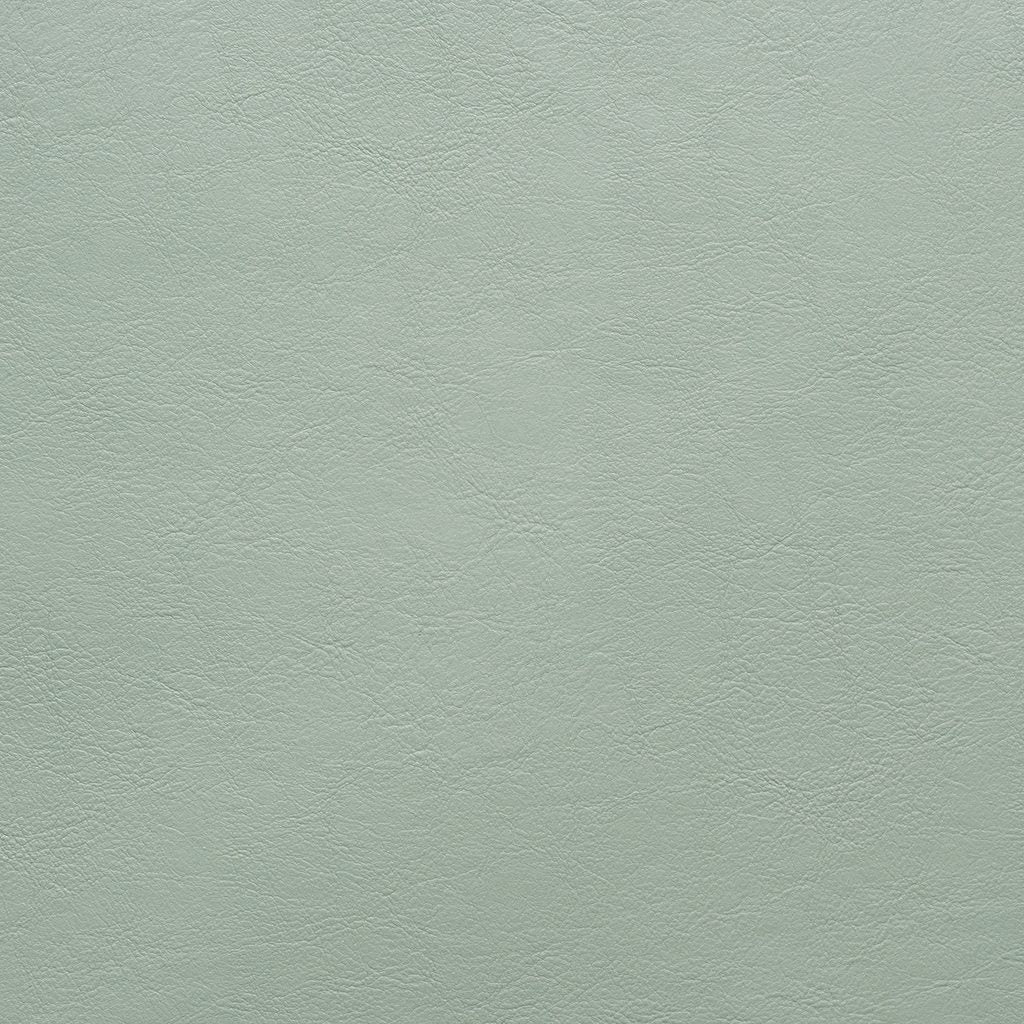 Aston Celadon
